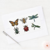 Stained Glass Insect & Bug Sticker Set 長方形シール (封筒)