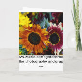 Stainglassの木 シーズンカード (裏面)