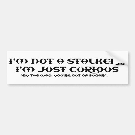 STALKER2 バンパーステッカー (正面)