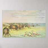 Stalking buffalo ポスター (正面)