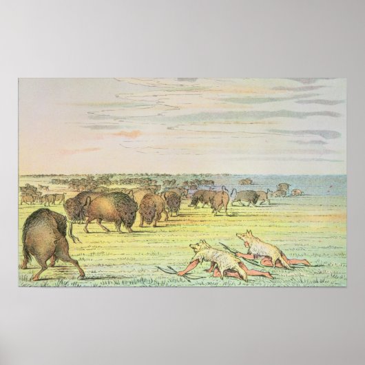 Stalking buffalo ポスター (正面)