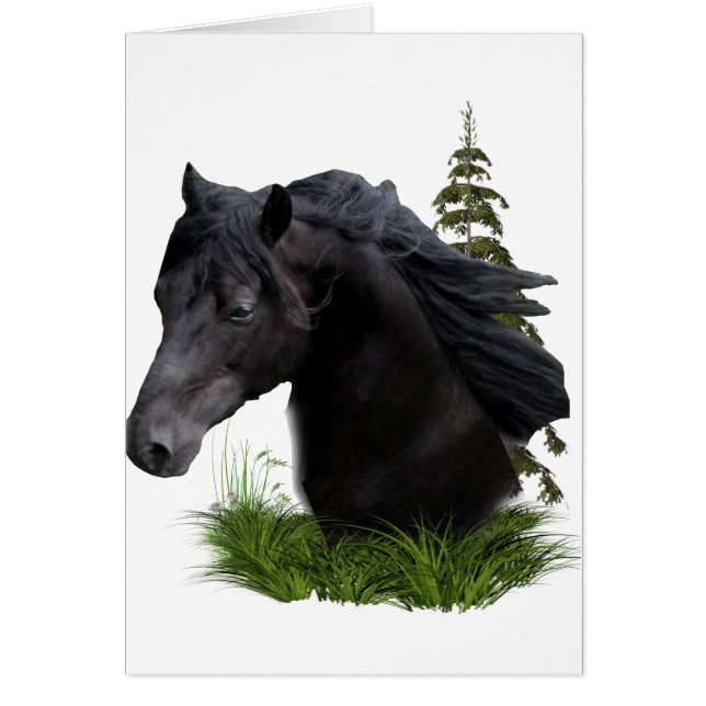 stallion.final (正面)