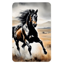 Stallion in Full Stride