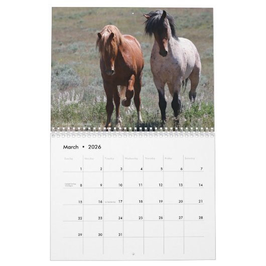 "Stallions" MustangWild 2026 Calendar カレンダー (3月 2026)