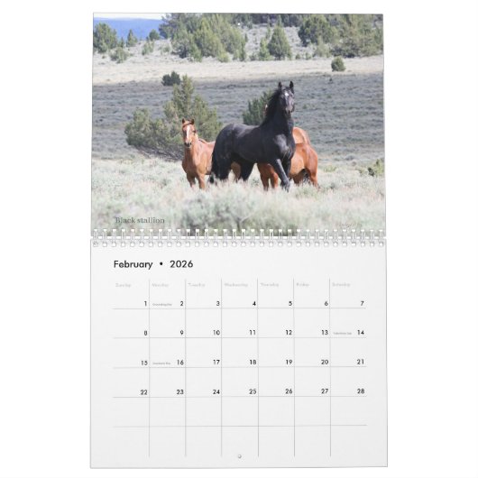 "Stallions" MustangWild 2026 Calendar カレンダー (2月 2026)