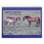 "Stallions" MustangWild 2026 Calendar カレンダー (カバー)