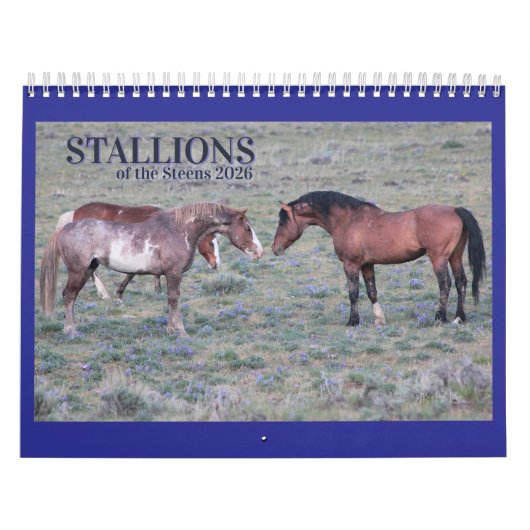 "Stallions" MustangWild 2026 Calendar カレンダー (カバー)