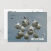 Stamford Ctはがき ポストカード (正面/裏面)