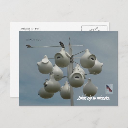 Stamford Ctはがき ポストカード (正面/裏面)