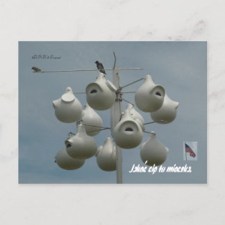 Stamford Ctはがき ポストカード