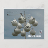 Stamford Ctはがき ポストカード (正面)