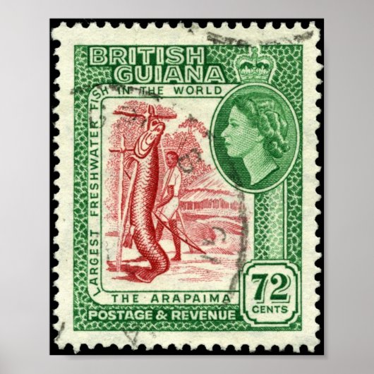 Stamp British Guiana 1954 72cポートフォリオ ポスター (正面)