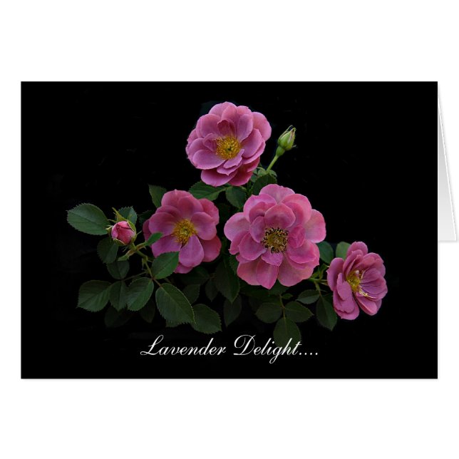 Stan著ばら色カードRoseman (正面横)