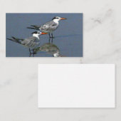 Standard, Business Card See You at the Beach jGibn 名刺 (正面/裏面)