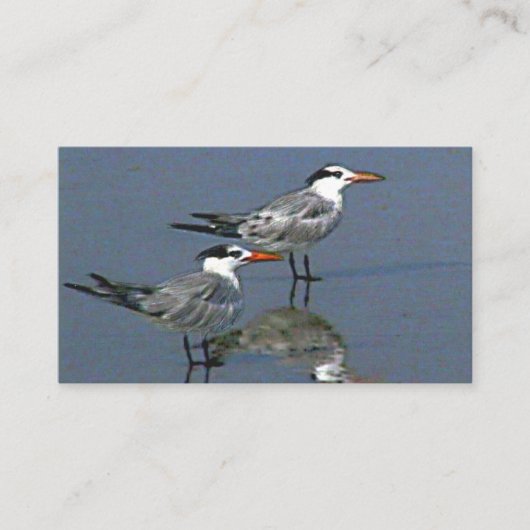 Standard, Business Card See You at the Beach jGibn 名刺 (正面)