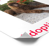 Standard Poodle Dog Adoptions Today Sign ポスター (角)