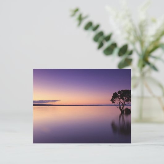 Standard Postcard ポストカード (スタンド正面)