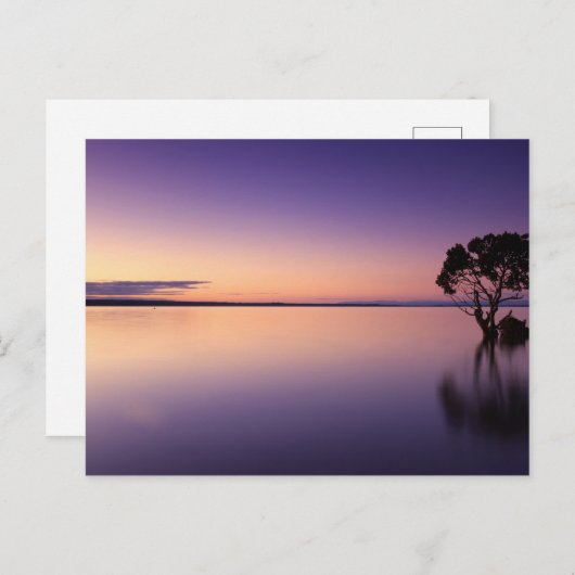 Standard Postcard ポストカード (正面/裏面)