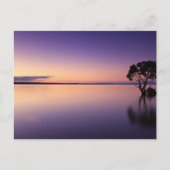 Standard Postcard ポストカード (正面)