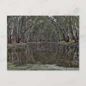 standard postcard ポストカード (正面)