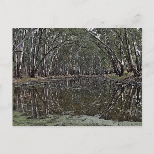 standard postcard ポストカード (正面)