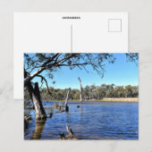 Standard postcard ポストカード (正面/裏面)