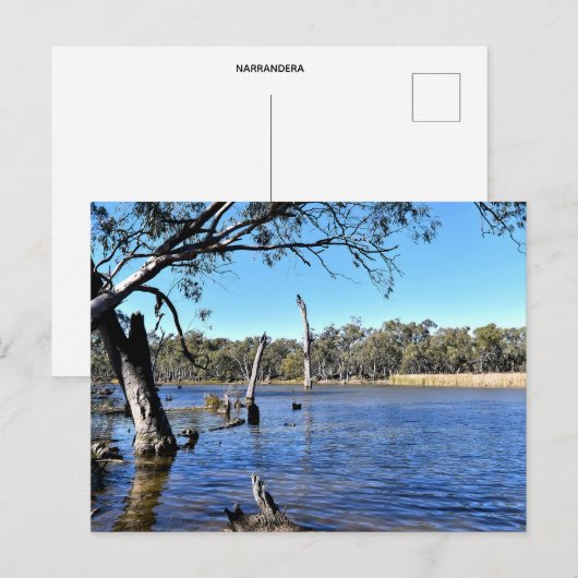 Standard postcard ポストカード (正面/裏面)