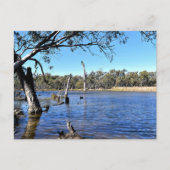 Standard postcard ポストカード (正面)