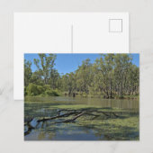 Standard postcard ポストカード (正面/裏面)