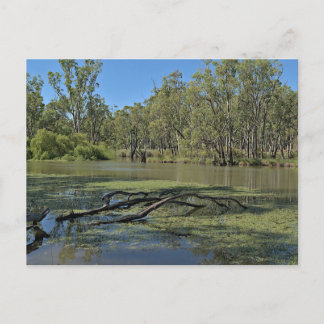 Standard postcard ポストカード