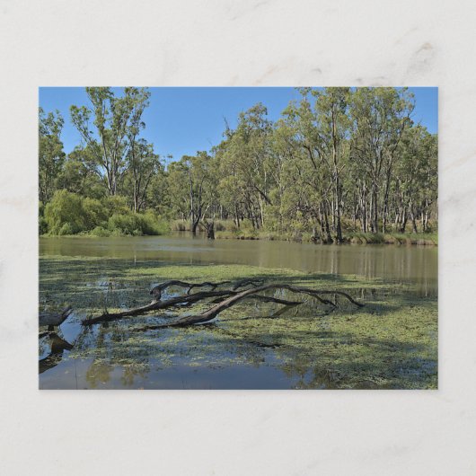 Standard postcard ポストカード (正面)