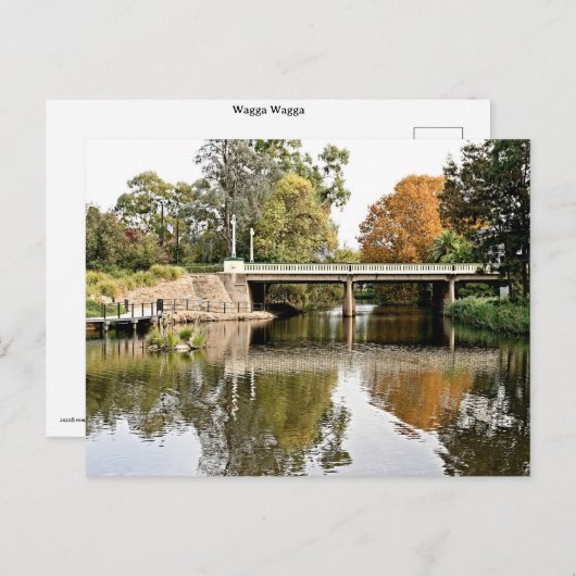 Standard postcard ポストカード (正面/裏面)