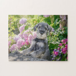 Standard Schnauzer puppy in a flowering garden ジグソーパズル