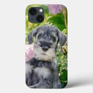 Standard Schnauzer Pupy in a Flowering Garden - iPhone 13ケース