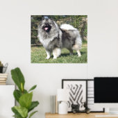 Standing Keeshond Dog ポスター (ホームオフィス)