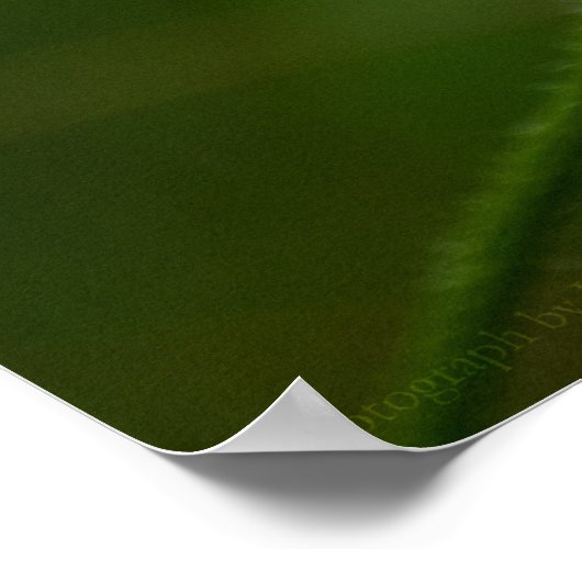 Standing Out Print ポスター (角)