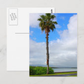 「Standing Tall」はがき ポストカード (正面/裏面)