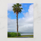 「Standing Tall」はがき ポストカード (正面)