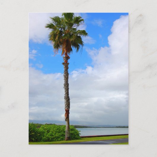 「Standing Tall」はがき ポストカード (正面)