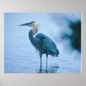 Standing Tall ポスター (正面)