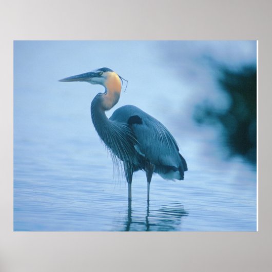 Standing Tall ポスター (正面)