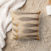 Stanislaw Lubienieckiによる彗星，ヴィンテージ天文学 クッション (ブランケット)