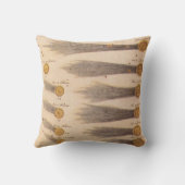 Stanislaw Lubienieckiによる彗星，ヴィンテージ天文学 クッション (裏面)