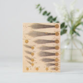 Stanislaw Lubienieckiによる彗星，ヴィンテージ天文学 ポストカード (スタンド正面)