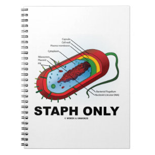 Staphのみ（原核生物の細菌図） ノートブック