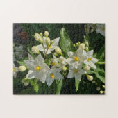 Starburst Garden Blooms Puzzle ジグソーパズル (横)