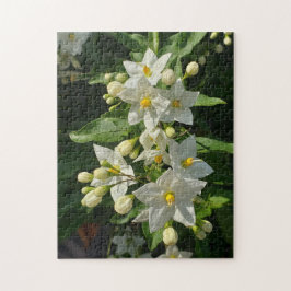 Starburst Garden Blooms Puzzle ジグソーパズル