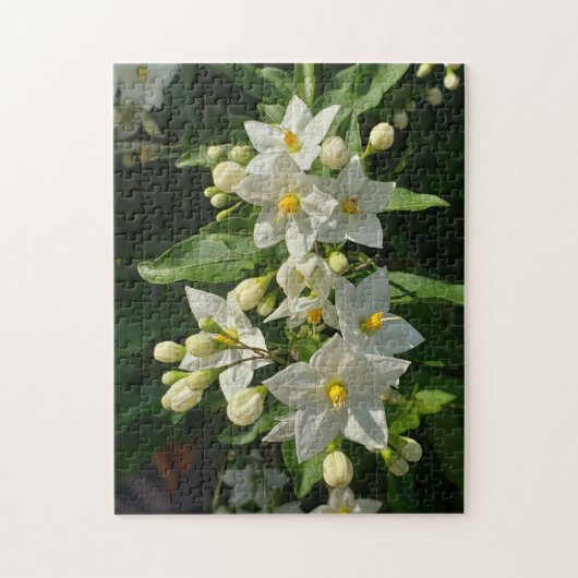 Starburst Garden Blooms Puzzle ジグソーパズル (縦)