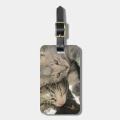 Stardustの子ネコ ラゲッジタグ (正面縦)