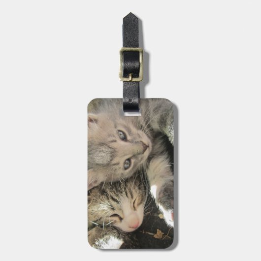 Stardustの子ネコ ラゲッジタグ (正面縦)